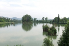 sapaba