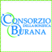 Burana